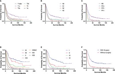 Prognostic significance of eighth edition TNM stage criteria in combined small-cell lung cancer